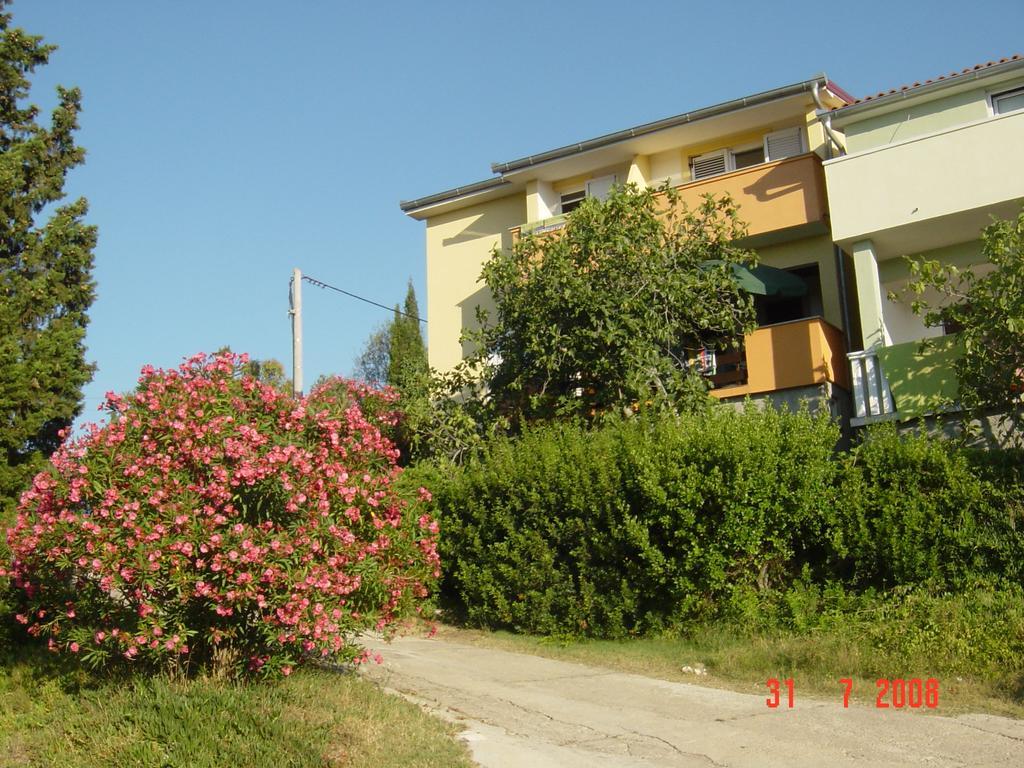 Apartments Prahovic Ždrelac Extérieur photo