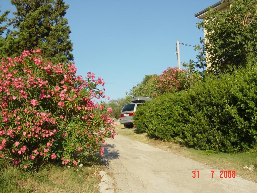 Apartments Prahovic Ždrelac Extérieur photo